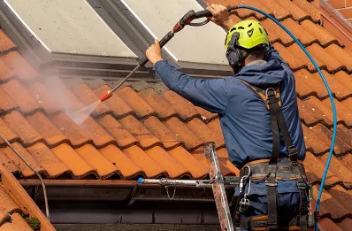 Démoussage et hydrofuge de toiture à Thoard